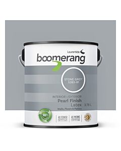 Boomerang STONE GREY Interior/Exterior 3.78L